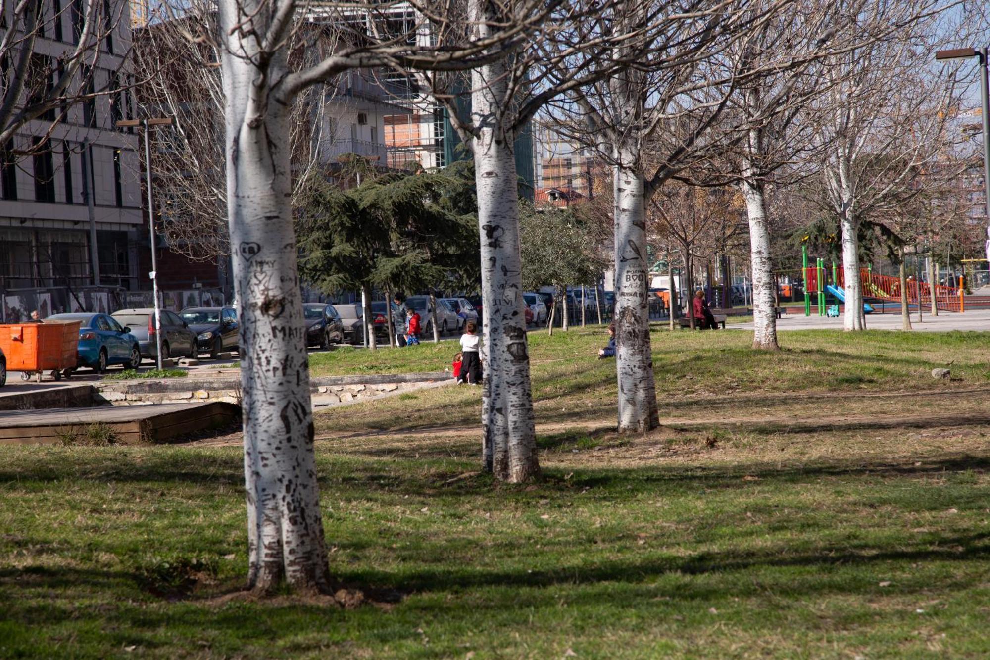 Park View Apartment Tirana Bagian luar foto